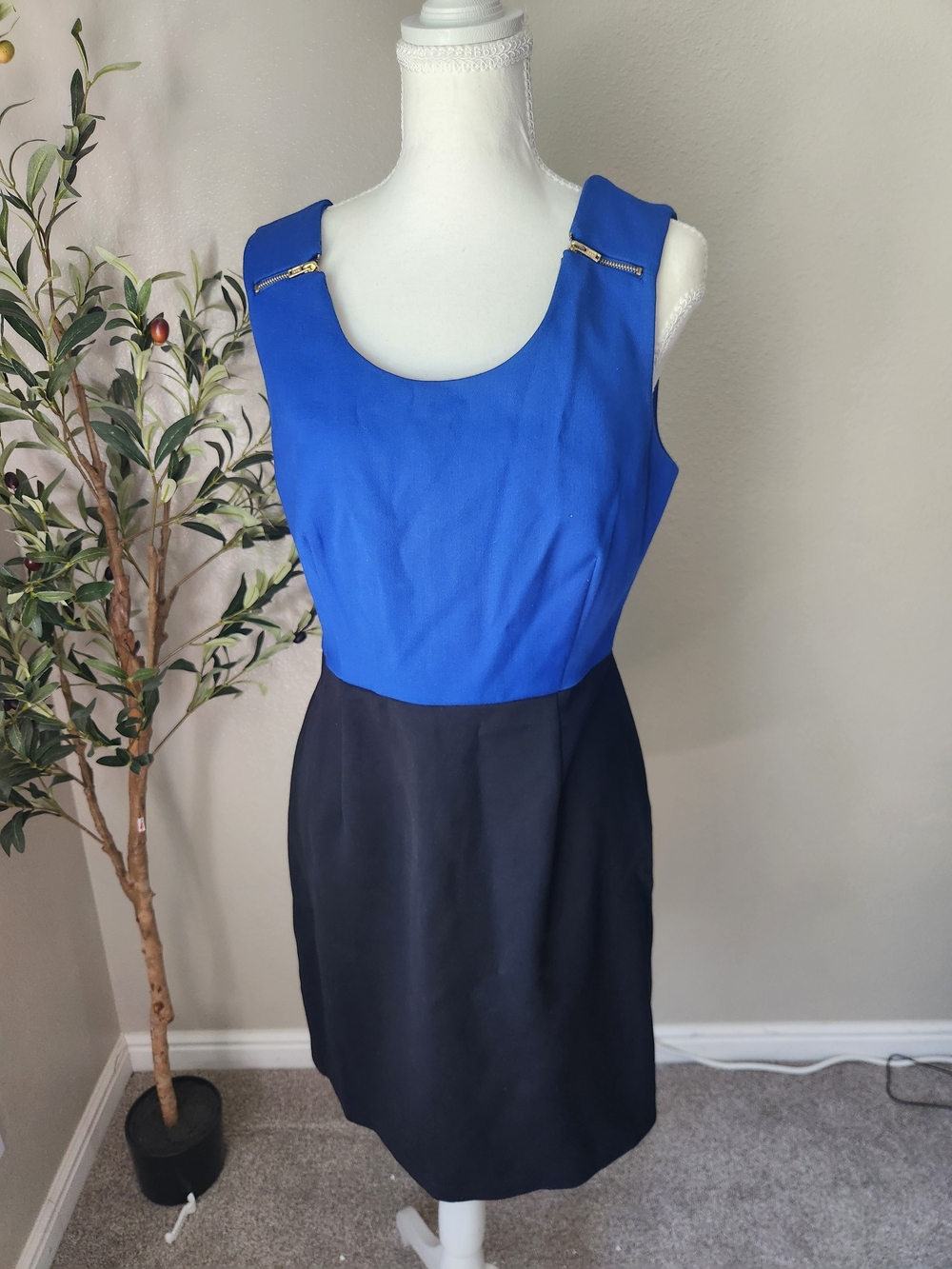 Love 21 Royal Blue and Black Sleeveless Scoop Dress